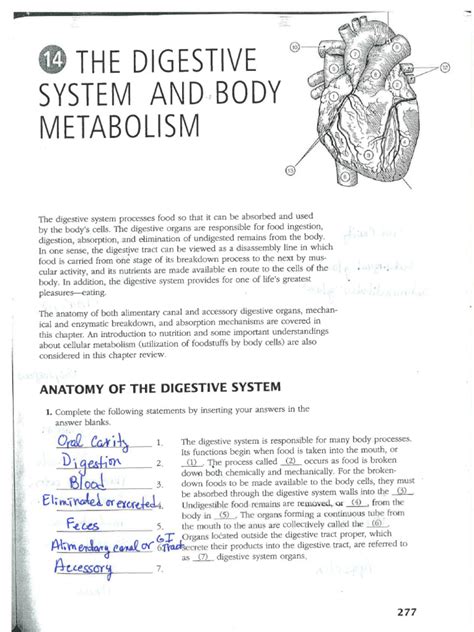 Digestive Packet Key