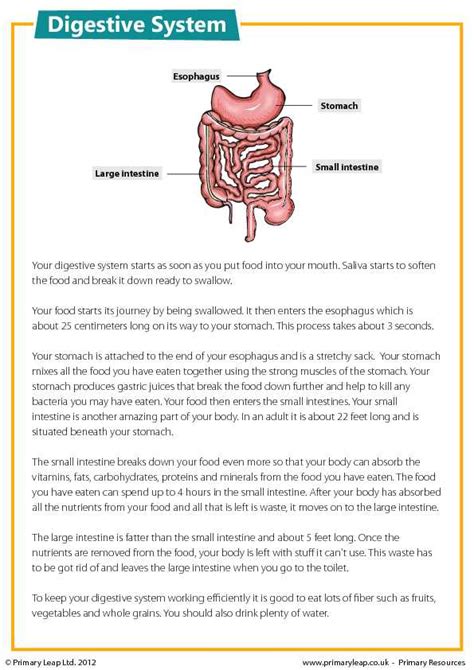 Digestive System Case Studies With Answers