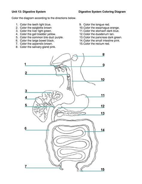Digestive System Coloring Key   Poop And Gut Health Go Hand In Hand - Digestive System Coloring Key