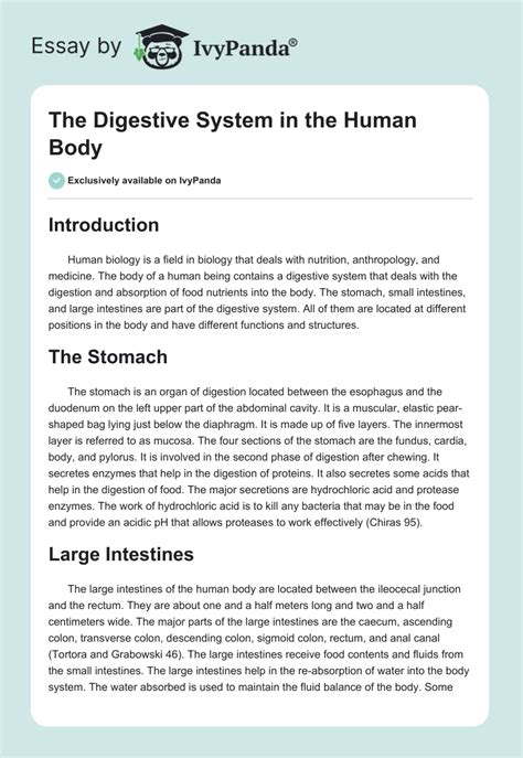 Digestive System Essay Proposal Essay Thesis From Hq Ruminant Digestive System Worksheet - Ruminant Digestive System Worksheet