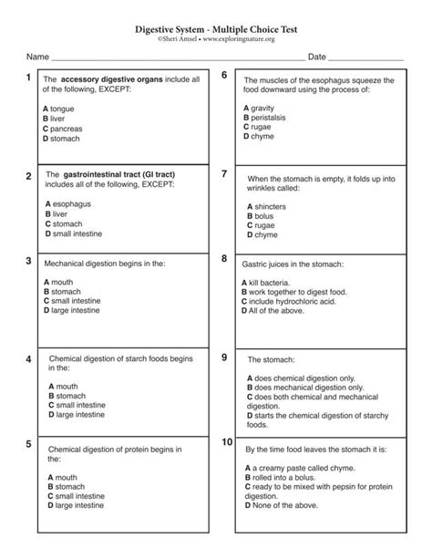Digestive System Mastery Test Answers