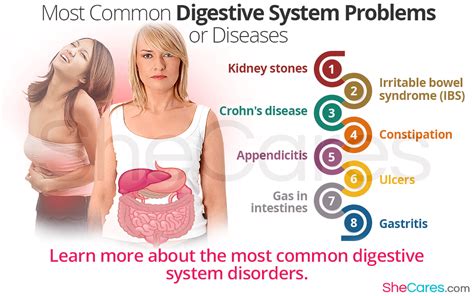 Digestive System Problems And Solutions