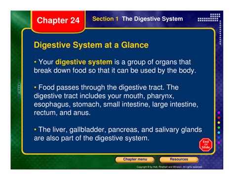 Read Online Digestive System Chapter 24 