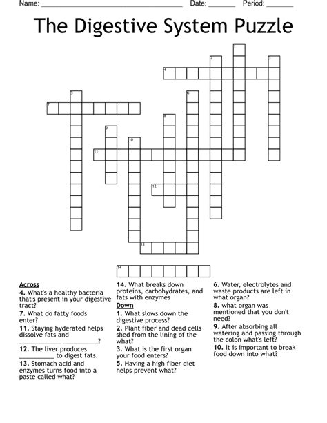 Download Digestive System Square Puzzle Answer Key 