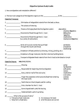 Full Download Digestive System Study Guide Key 