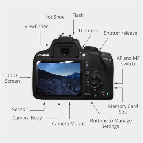 Read Online Digital Cameras Guide 