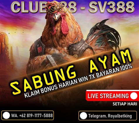 Digmaan Live Sabung Ayam Filipina Terbaik Sp7918 Slot - Sp7918 Slot
