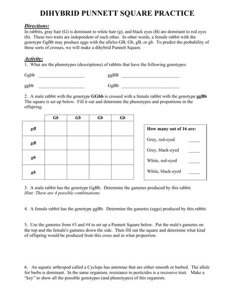 Dihybrid Punnett Square Practice Problems Answer Key