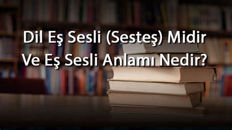 Dil Eş Sesli Midir