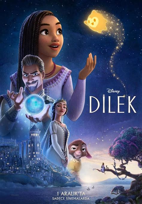 Dilek Eş Anlamlısı