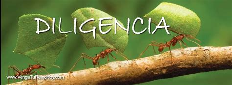 Diligencia Que Significa