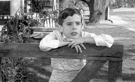 Dill To Kill A Mockingbird