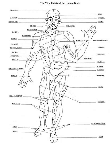 Dim Mak Pressure Points