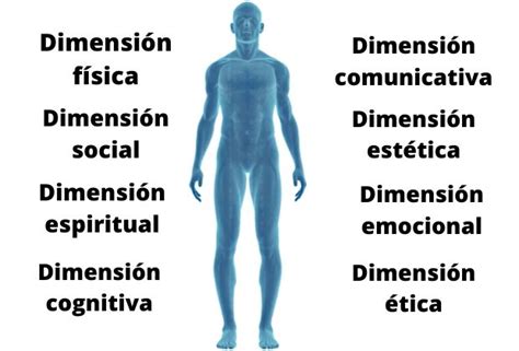 Dimensiones Del Ser Humano