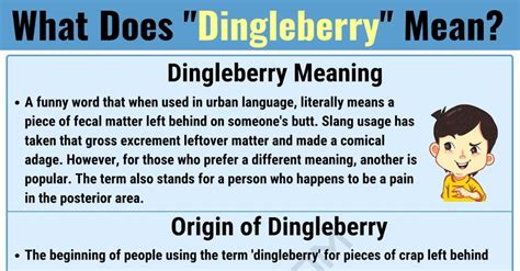 Dingleberry là gì? | Từ điển Anh - Việt - ZIM Dictionary