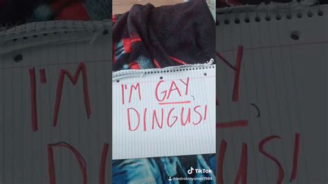 dingus gay