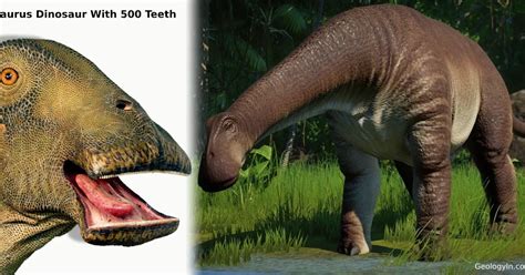 Dinosaur 500 Teeth