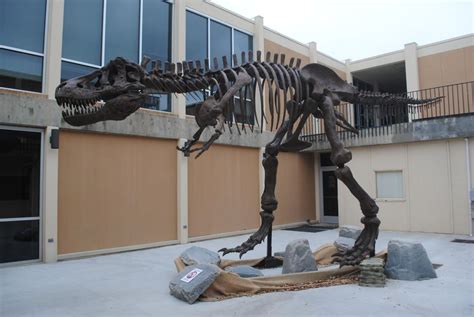 Dinosaur Home Southwestern Adventist University Dinosaur Science - Dinosaur Science