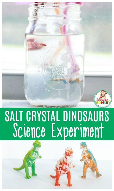Dinosaur Science Experiments   Easy Salt Crystal Science Experiment For Kids - Dinosaur Science Experiments