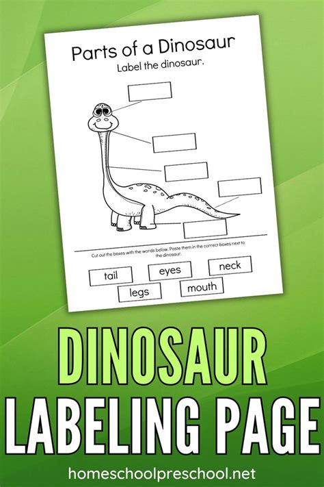 Dinosaur Worksheet Engaging Early Learning Tools For Children Preschool Dinosaur Worksheets - Preschool Dinosaur Worksheets