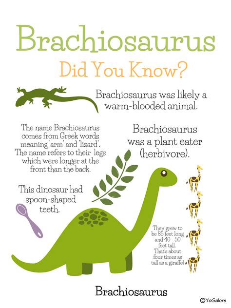 Read Dinosaur Facts For Kids Childrens Dinosaurs 