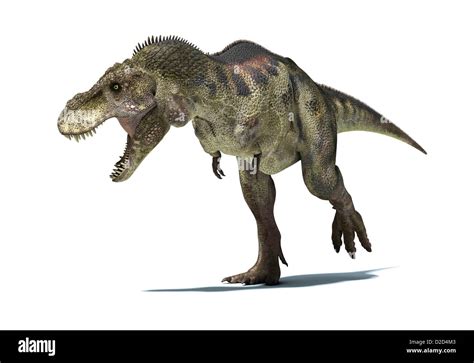 Dinosauri 3 D