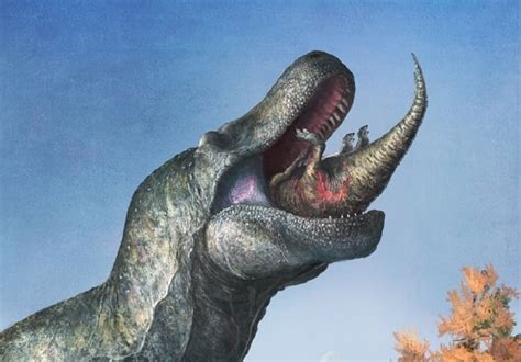 Dinosauri Predatori
