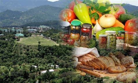 Diploma Programme In Fruit Vegetable Processing And