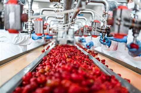 Read Online Diploma Programme In Fruit Vegetable Processing And 