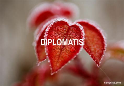 diplomatis Arti Kata diplomatis