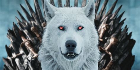 Dire Wolf Game Of Thrones