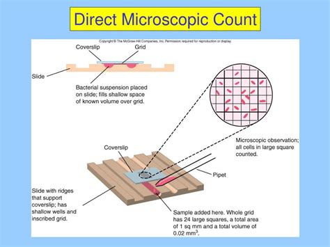 Direct Microscopic Count Method