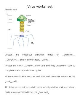 Directed Section Viruses Answer Key