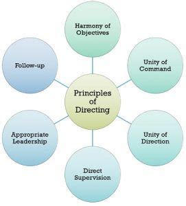 Directing Definition In Management