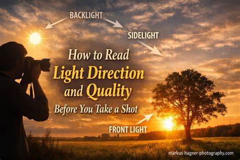 Direction Quality Of Light Your Key To Better Portrait Photography Anywhere
