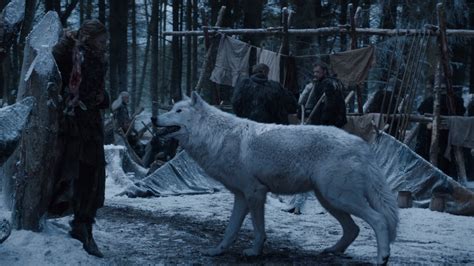 Direwolves Game Of Thrones