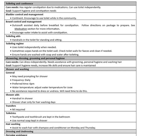 Disability Care Plan Template