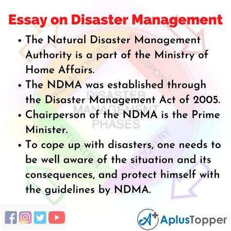 Disaster Management Essay