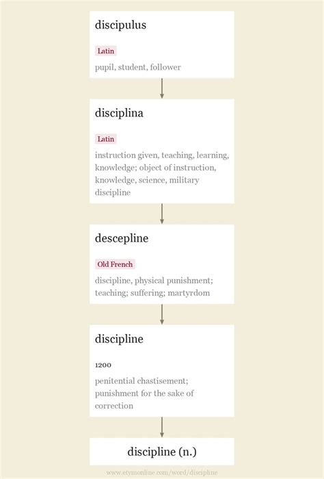 discipline 뜻