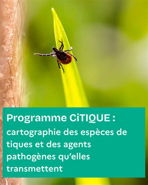 discours asca c tiques