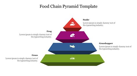 Discover Now Food Chain Pyramid Template Slide Design Food Chain Template Blank - Food Chain Template Blank