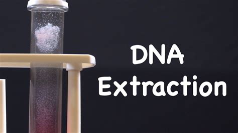 Discover Your Own Dna Human Body Experiment Science Dna Science Experiment - Dna Science Experiment