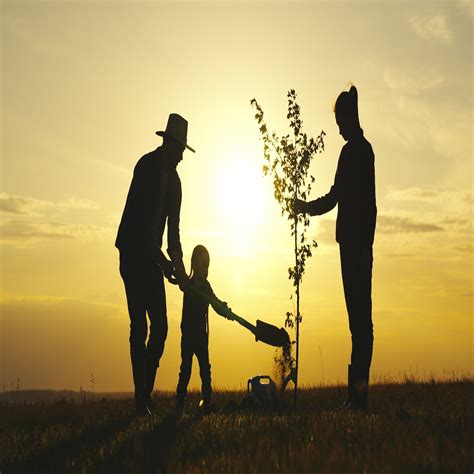 Discover Your Roots