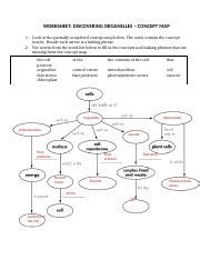 Discovering Organelles Concept Map Answer Key
