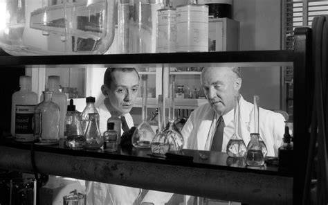 discovery of insulin