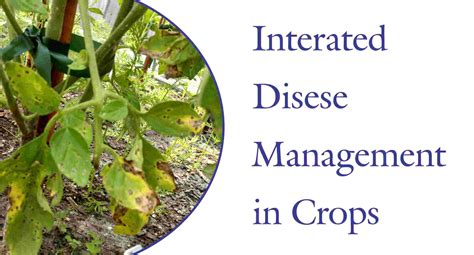 Full Download Disease Management For Field Crops 