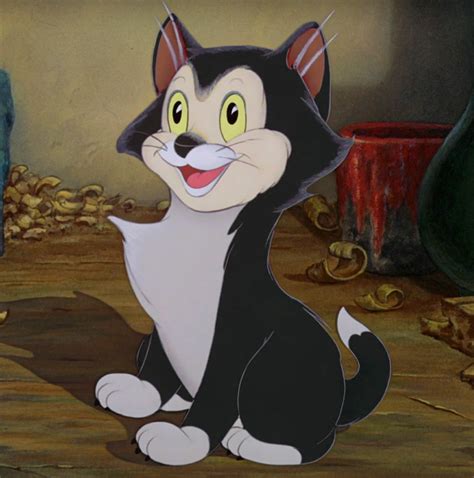 Disney Figaro Cat