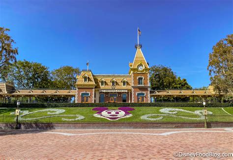 Read Online Disneyland Resort Go 