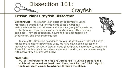 Dissection 101 Crayfish Dissection Lesson Plan Pbs Learningmedia Crayfish Worksheet Answers - Crayfish Worksheet Answers