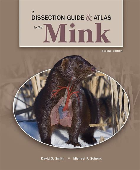 dissection guide and atlas to the mink